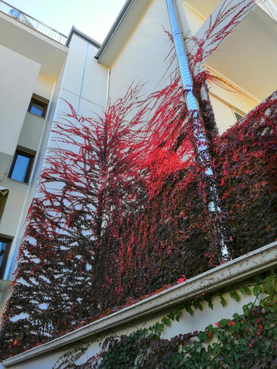 Giorgos Apartments Sea View Olympiaki Akti Exterior photo